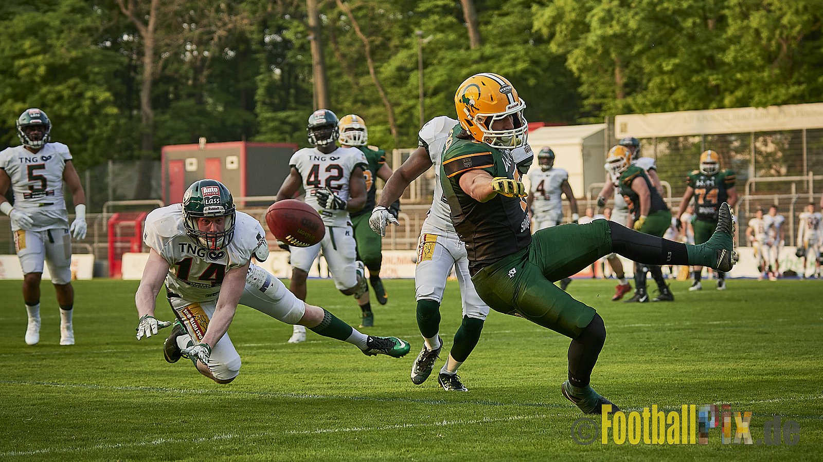 Cologne Crocodiles vs. Kiel Baltic Hurricanes  - 21.04.2018 GFL Nord: Cologne Crocodiles vs. Kiel Baltic Hurricanes (32:14)