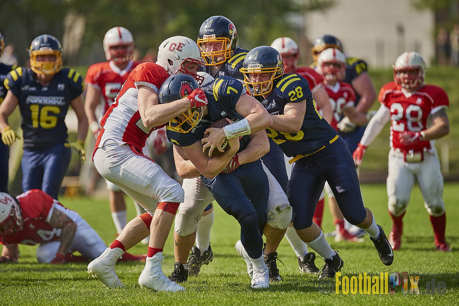 Gelsenkirchen Devils vs. Essen Assindia Cardinals - 21.04.2018 RL NRW: Gelsenkirchen Devils vs. Essen Assindia Cardinals (0:34)