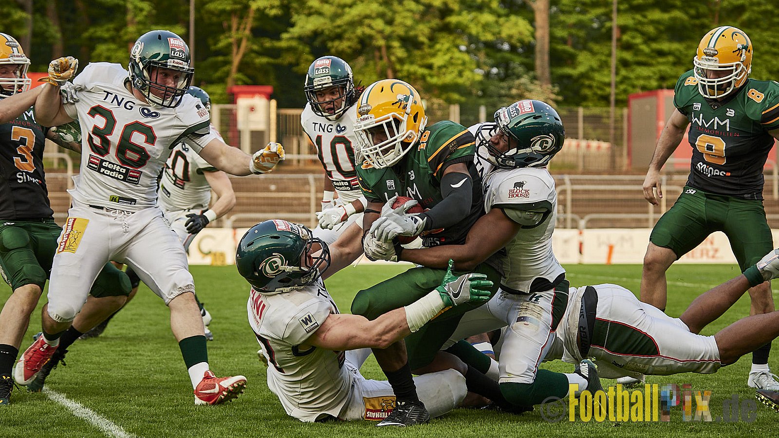 Cologne Crocodiles vs. Kiel Baltic Hurricanes  - 21.04.2018 GFL Nord: Cologne Crocodiles vs. Kiel Baltic Hurricanes (32:14)