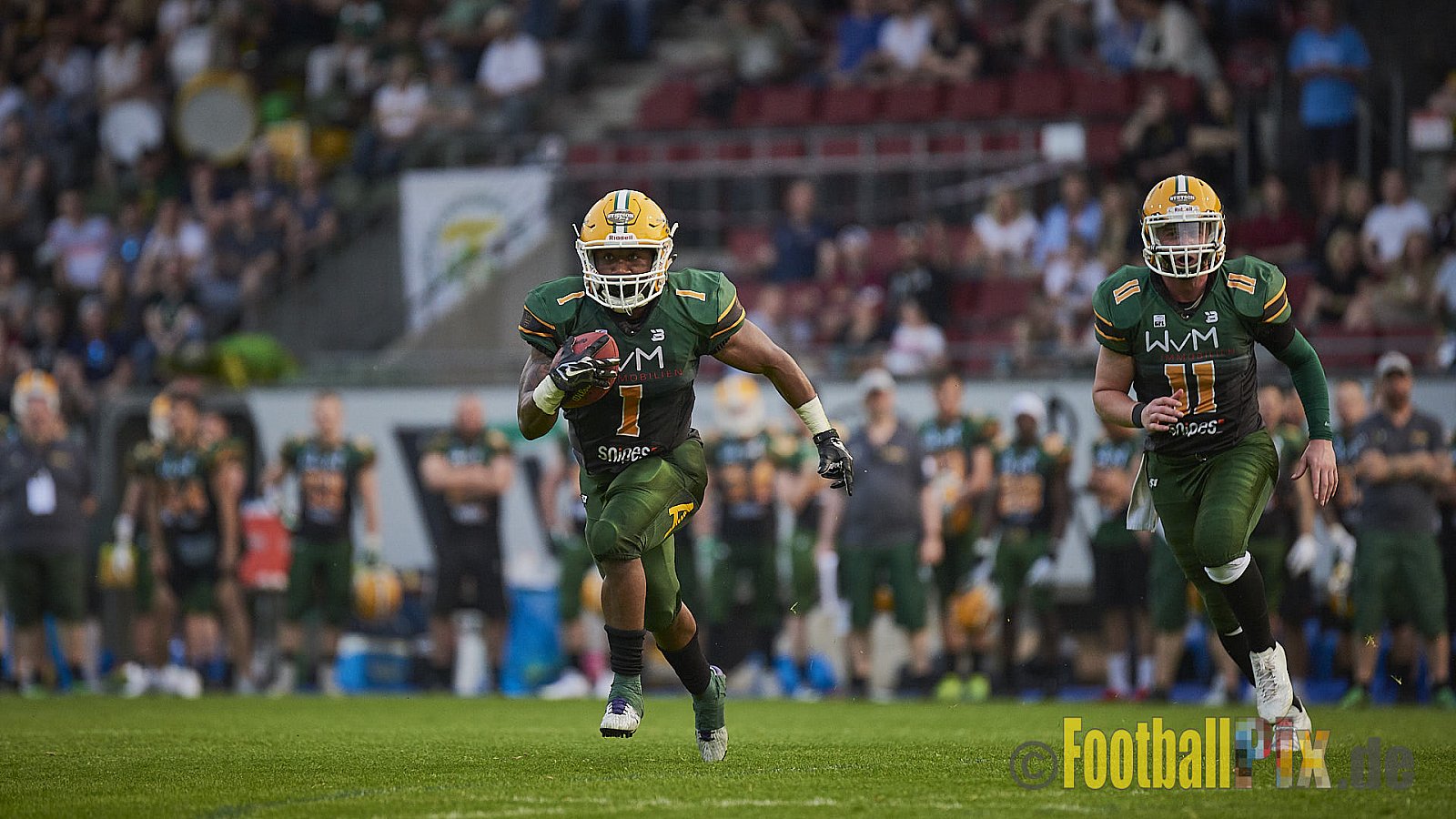 Cologne Crocodiles vs. Kiel Baltic Hurricanes  - 21.04.2018 GFL Nord: Cologne Crocodiles vs. Kiel Baltic Hurricanes (32:14)