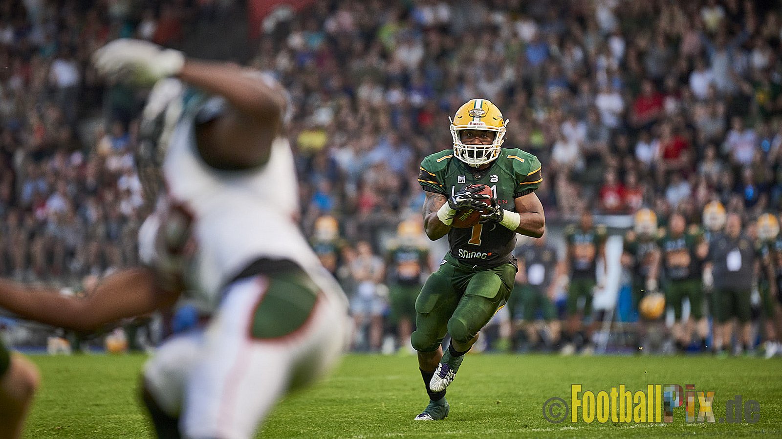 Cologne Crocodiles vs. Kiel Baltic Hurricanes  - 21.04.2018 GFL Nord: Cologne Crocodiles vs. Kiel Baltic Hurricanes (32:14)