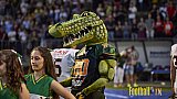 Cologne Crocodiles vs. Kiel Baltic Hurricanes  - 21.04.2018 GFL Nord: Cologne Crocodiles vs. Kiel Baltic Hurricanes (32:14)