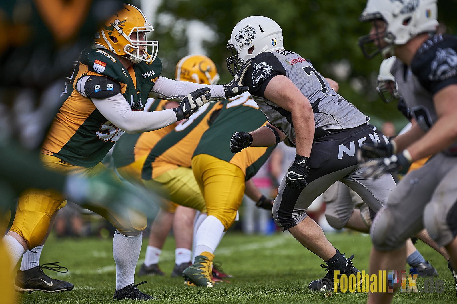 Mönchengladbach Wolfpack vs. Cologne Crocodiles Prospects - 10.05.2018 VL NRW: Mönchengladbach Wolfpack vs. Cologne Crocodiles Prospects (0:0)