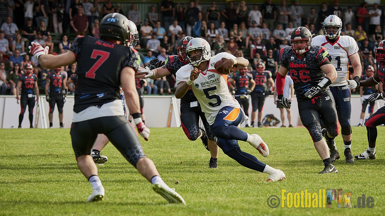 Solingen Paladins vs. Rostock Griffins - 12.05.2018 GFL2: Solingen Paladins vs. Rostock Griffins (41:30)