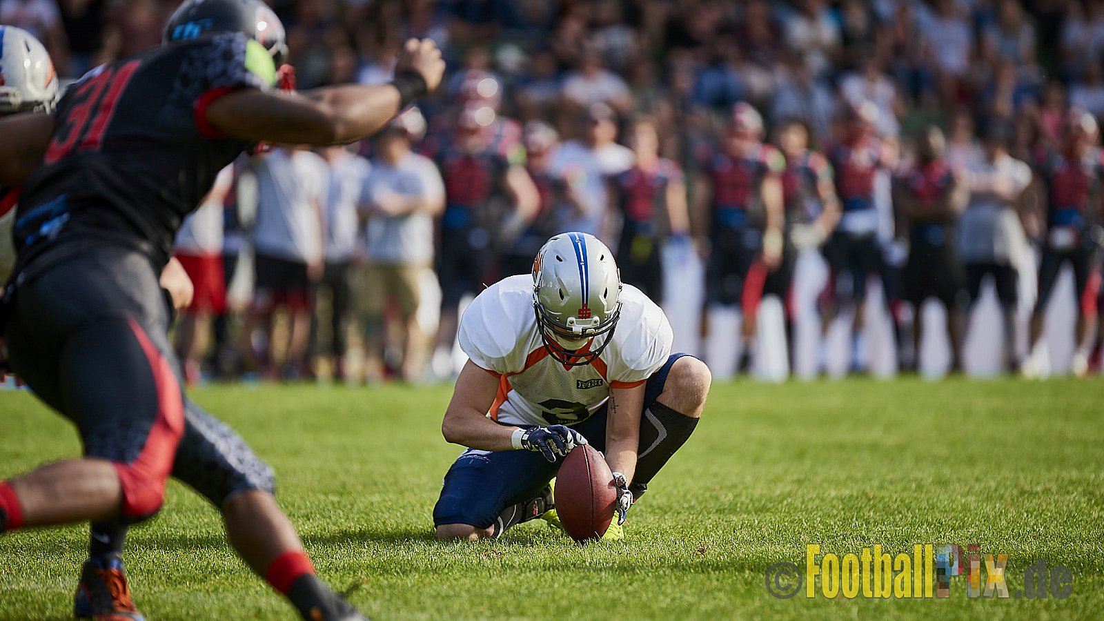 Solingen Paladins vs. Rostock Griffins - 12.05.2018 GFL2: Solingen Paladins vs. Rostock Griffins (41:30)