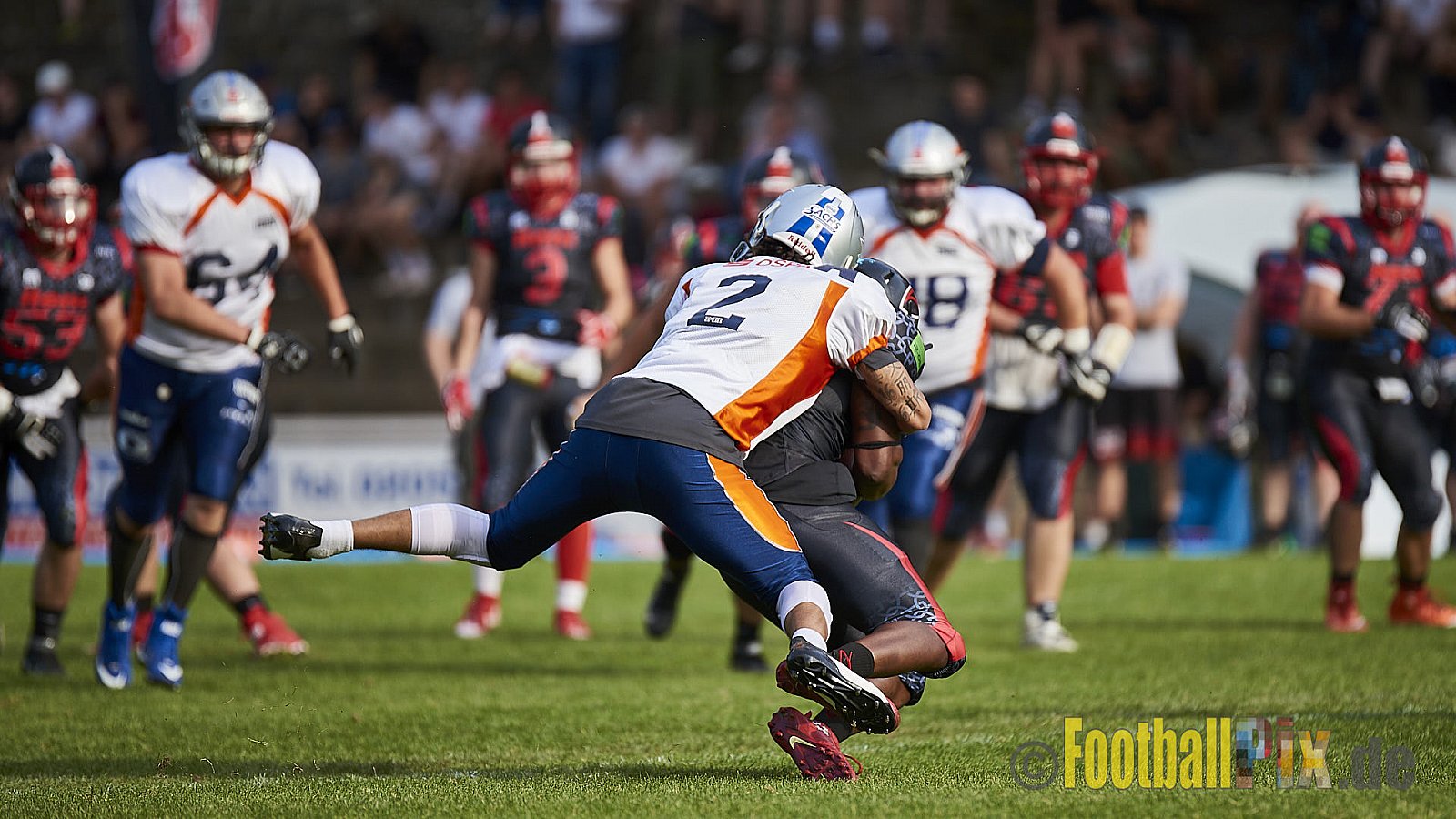 Solingen Paladins vs. Rostock Griffins - 12.05.2018 GFL2: Solingen Paladins vs. Rostock Griffins (41:30)
