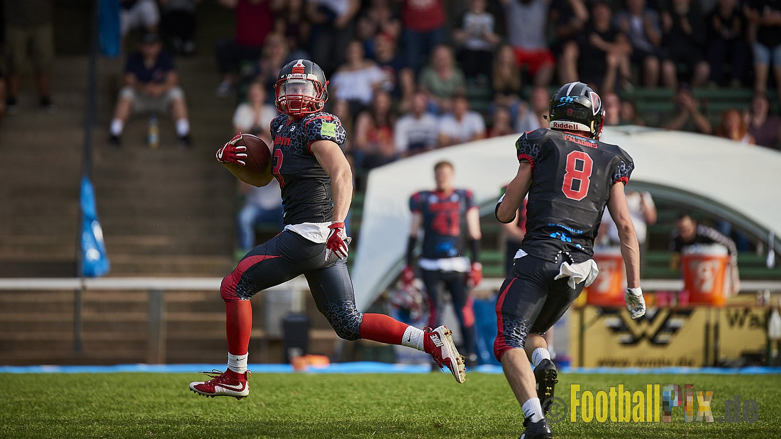 Solingen Paladins vs. Rostock Griffins - 12.05.2018 GFL2: Solingen Paladins vs. Rostock Griffins (41:30)