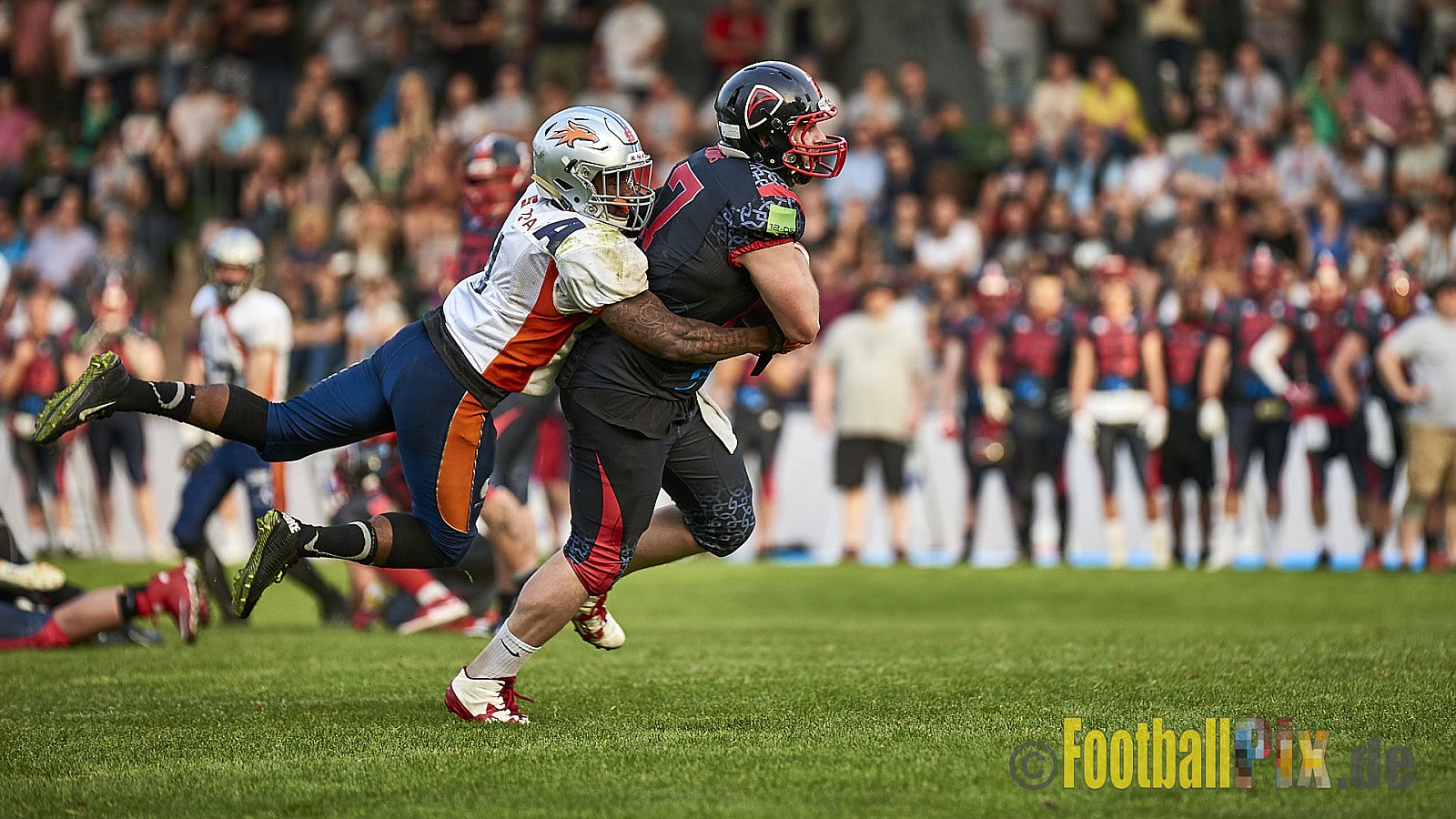 Solingen Paladins vs. Rostock Griffins - 12.05.2018 GFL2: Solingen Paladins vs. Rostock Griffins (41:30)