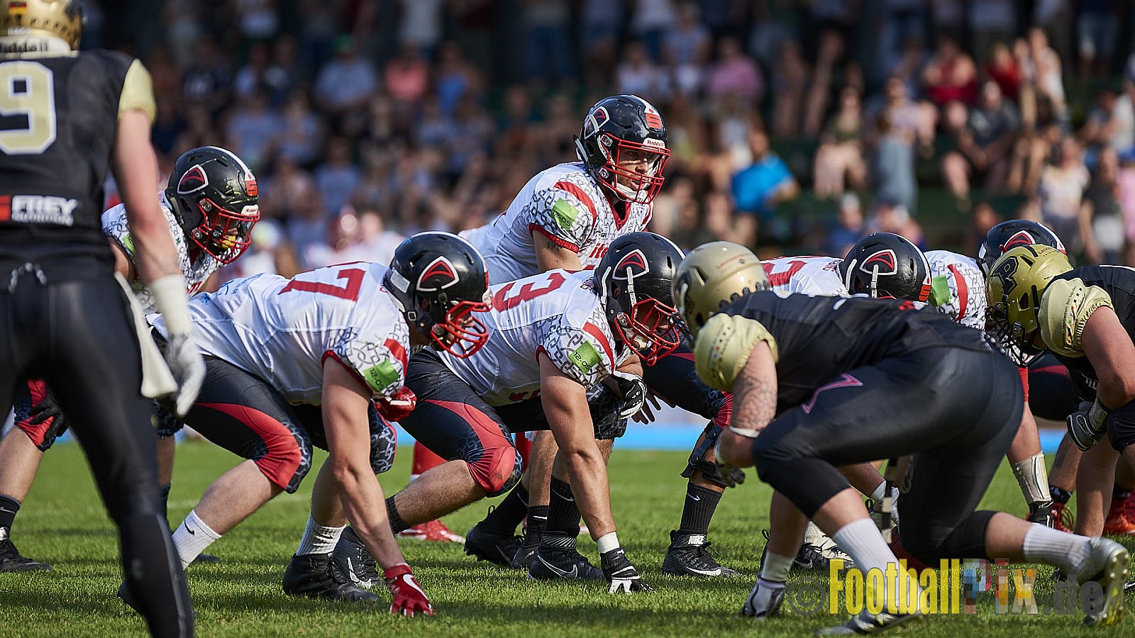 Solingen Paladins vs. Paderborn Dolphins  - SolingenPaladinsVsPaderbornDolphins