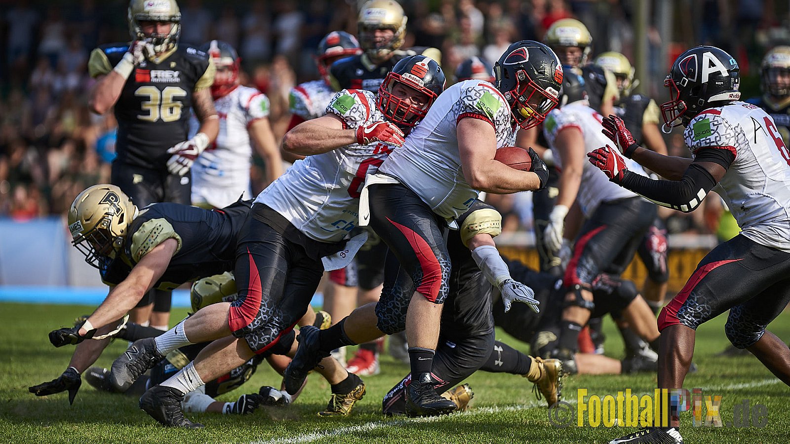 Solingen Paladins vs. Paderborn Dolphins  - SolingenPaladinsVsPaderbornDolphins