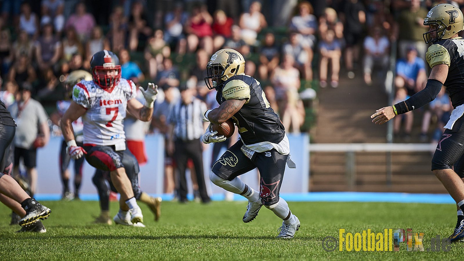 Solingen Paladins vs. Paderborn Dolphins  - SolingenPaladinsVsPaderbornDolphins
