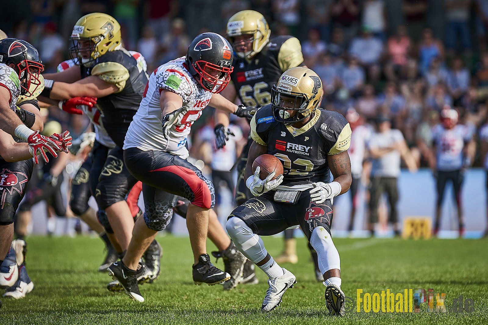 Solingen Paladins vs. Paderborn Dolphins  - SolingenPaladinsVsPaderbornDolphins