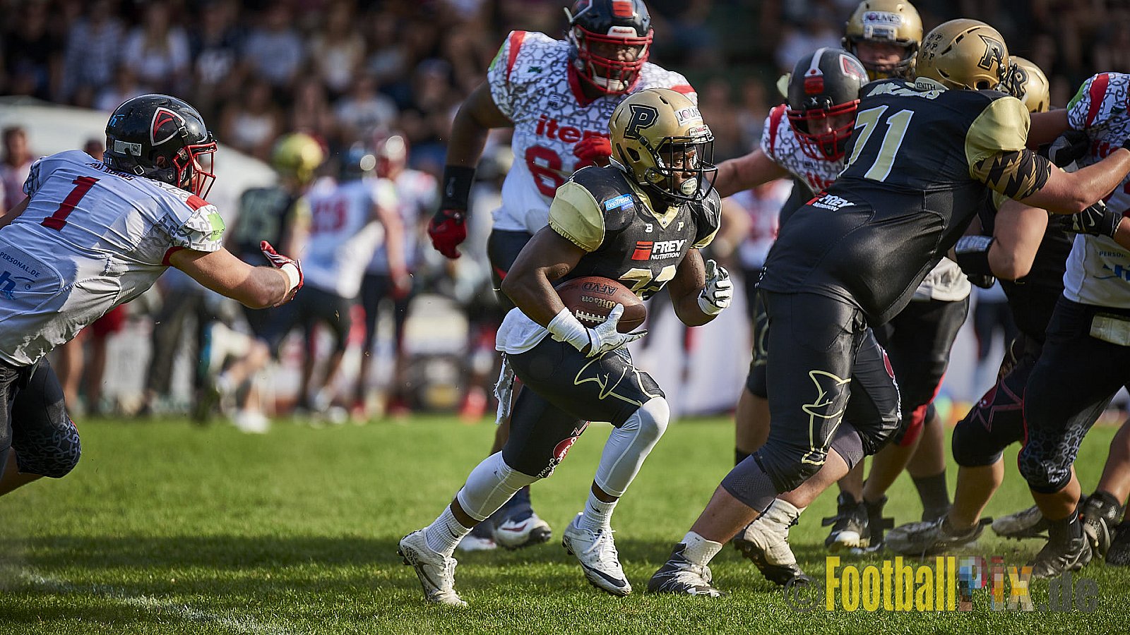 Solingen Paladins vs. Paderborn Dolphins  - SolingenPaladinsVsPaderbornDolphins