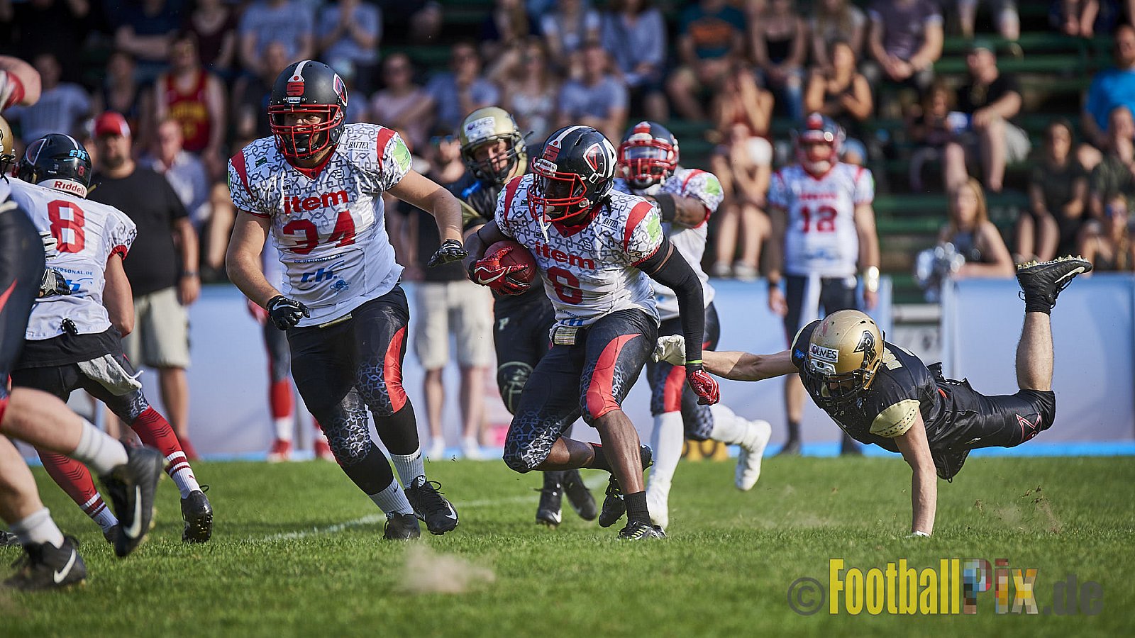Solingen Paladins vs. Paderborn Dolphins  - SolingenPaladinsVsPaderbornDolphins
