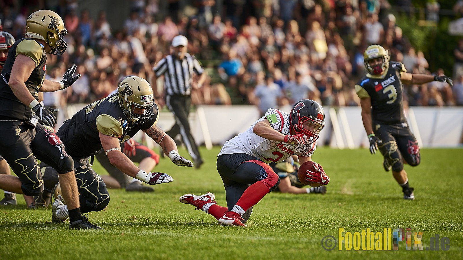 Solingen Paladins vs. Paderborn Dolphins  - SolingenPaladinsVsPaderbornDolphins