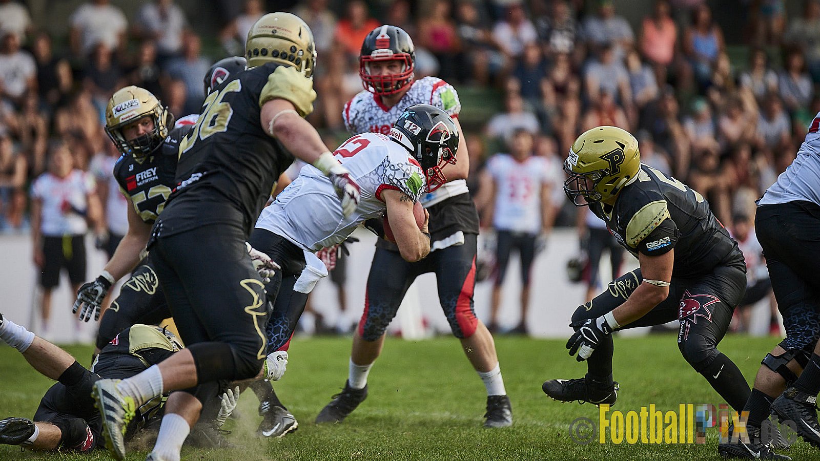 Solingen Paladins vs. Paderborn Dolphins  - SolingenPaladinsVsPaderbornDolphins