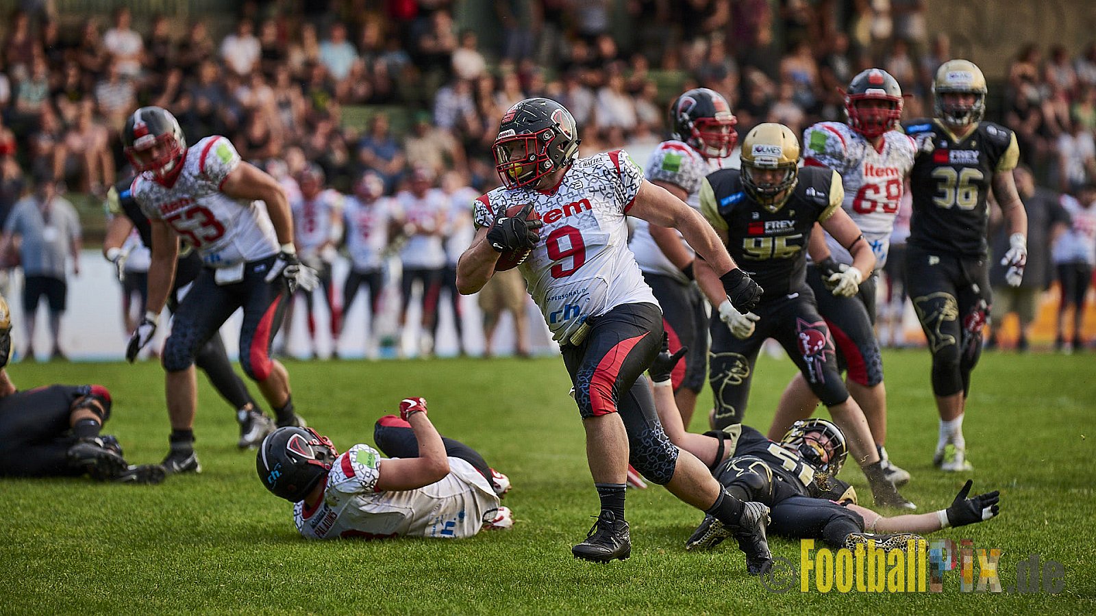 Solingen Paladins vs. Paderborn Dolphins  - SolingenPaladinsVsPaderbornDolphins
