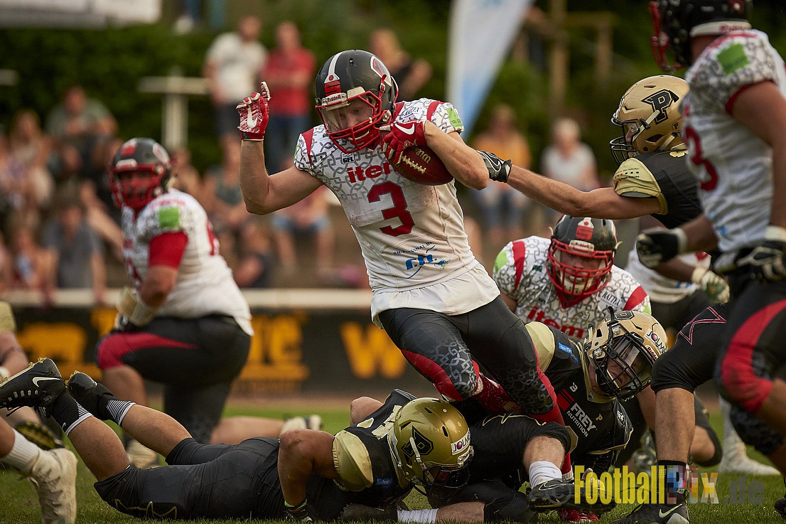 Solingen Paladins vs. Paderborn Dolphins  - SolingenPaladinsVsPaderbornDolphins