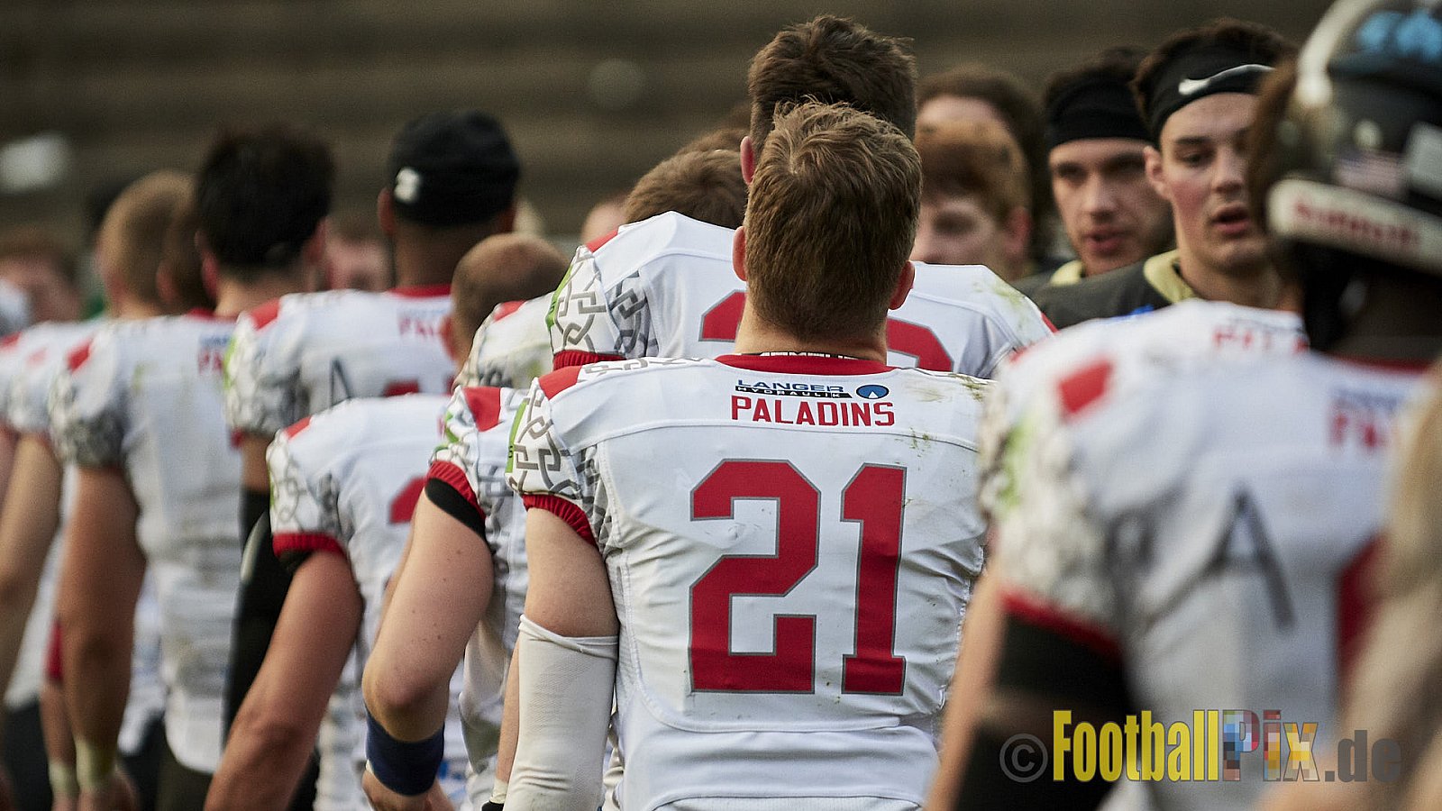 Solingen Paladins vs. Paderborn Dolphins  - SolingenPaladinsVsPaderbornDolphins