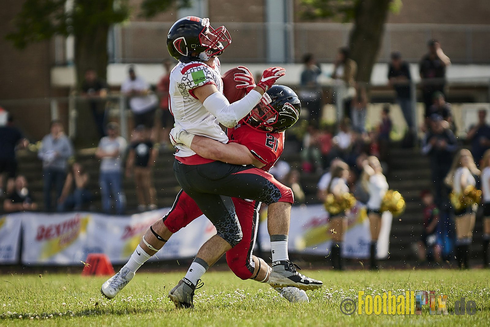 Düsseldorf Panther vs. Solingen Paladins - DPantherVsSolingenPaladins