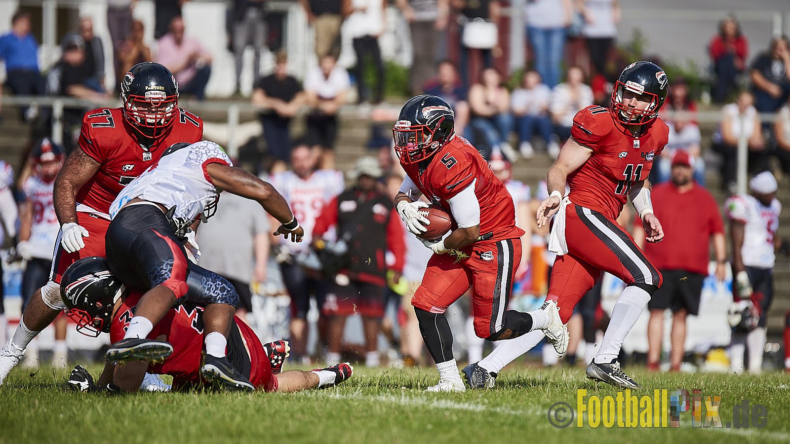 Düsseldorf Panther vs. Solingen Paladins - DPantherVsSolingenPaladins