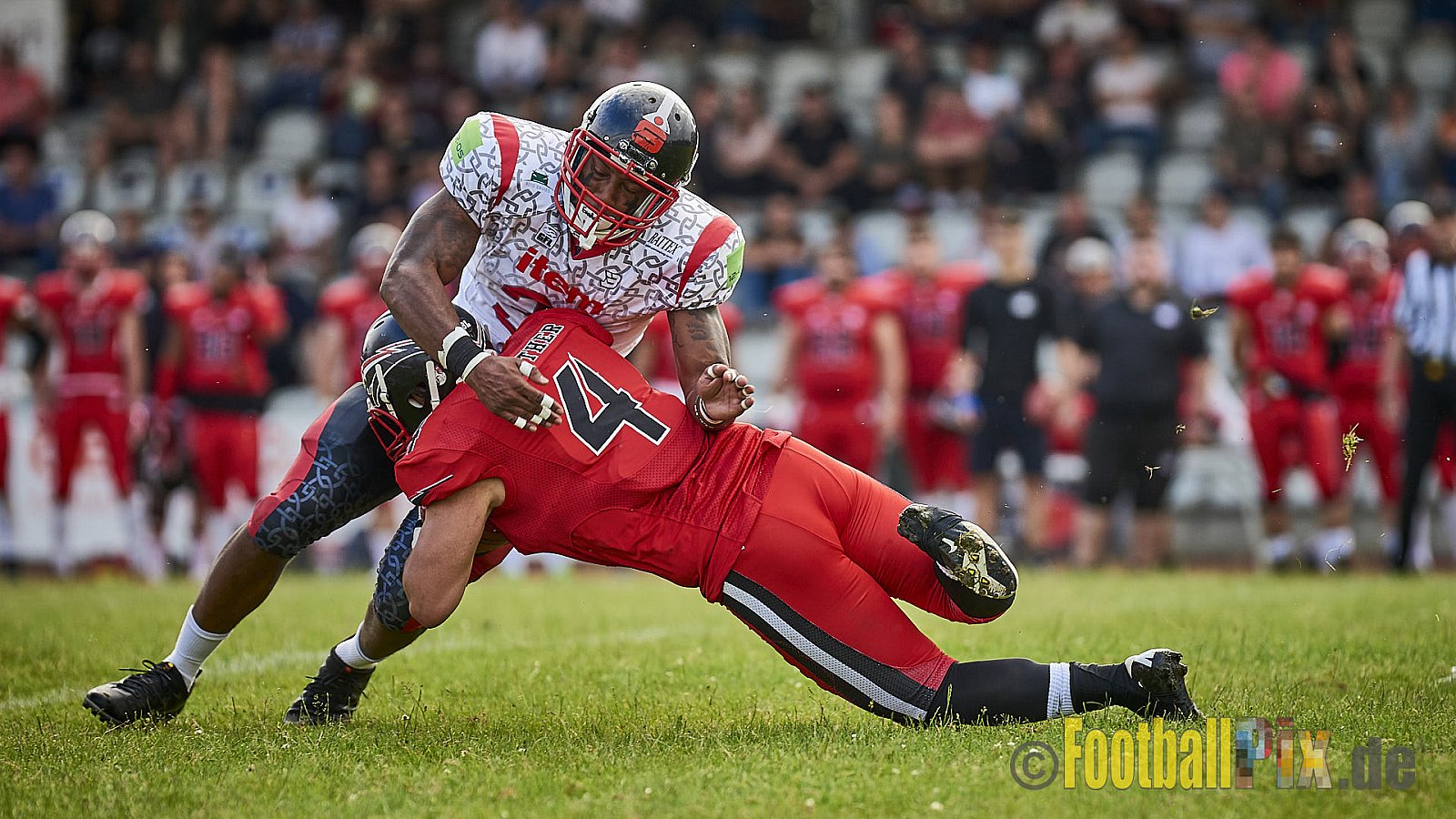 Düsseldorf Panther vs. Solingen Paladins - DPantherVsSolingenPaladins