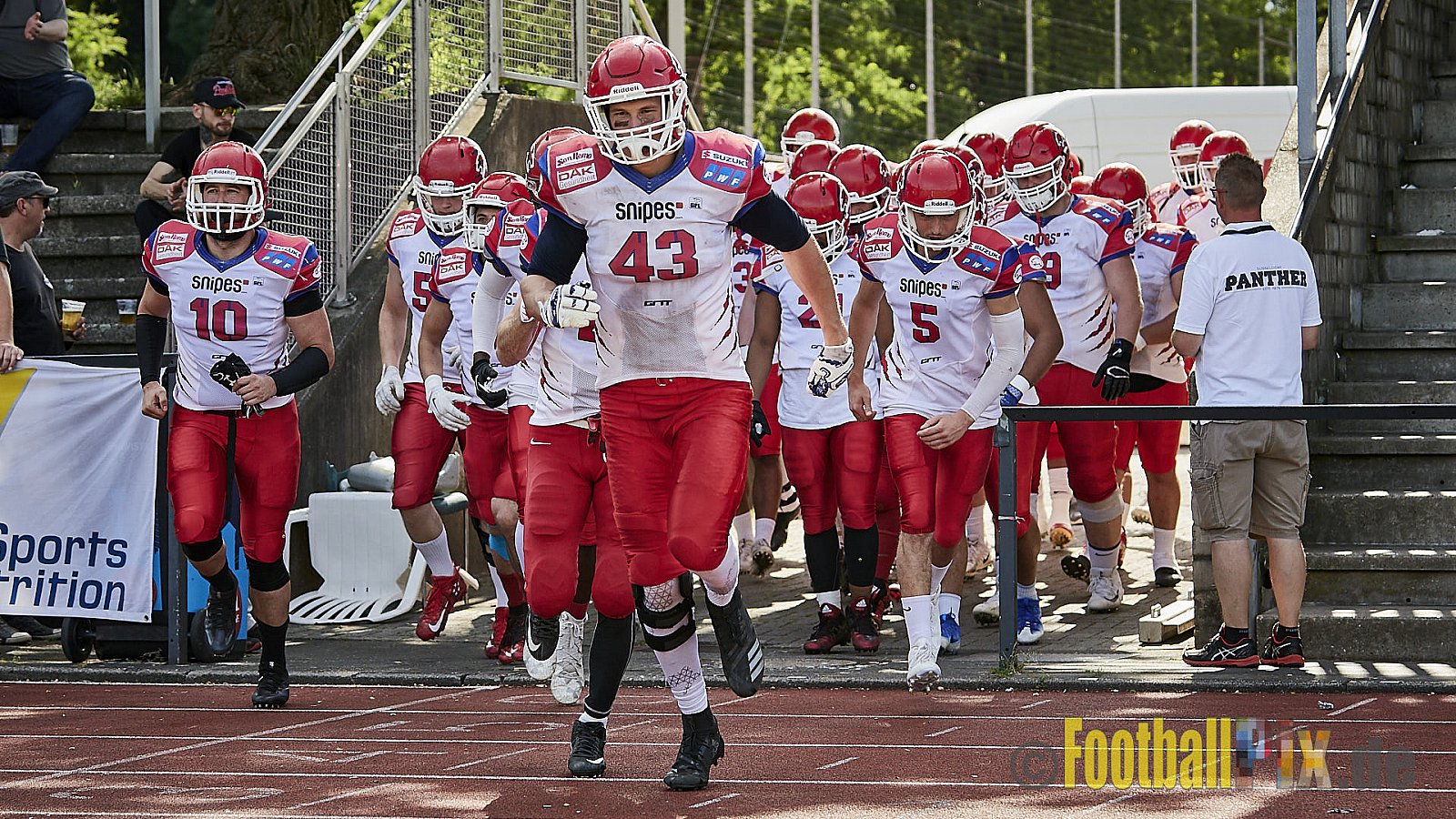 Düsseldorf Panther vs. Lübeck Cougars - DPantherVsLCougars