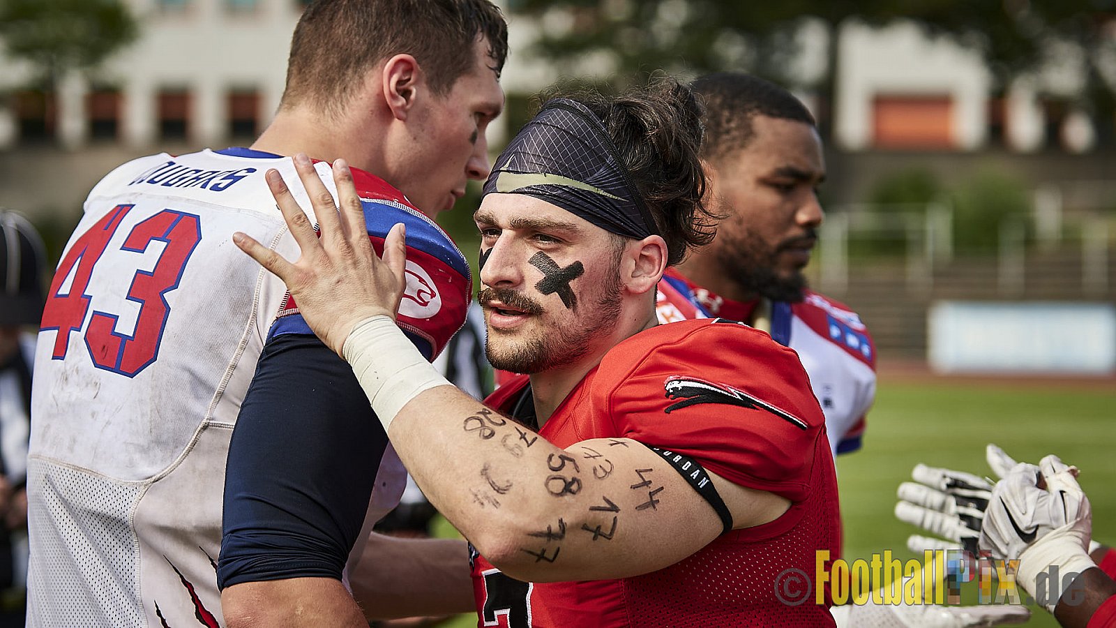 Düsseldorf Panther vs. Lübeck Cougars - DPantherVsLCougars