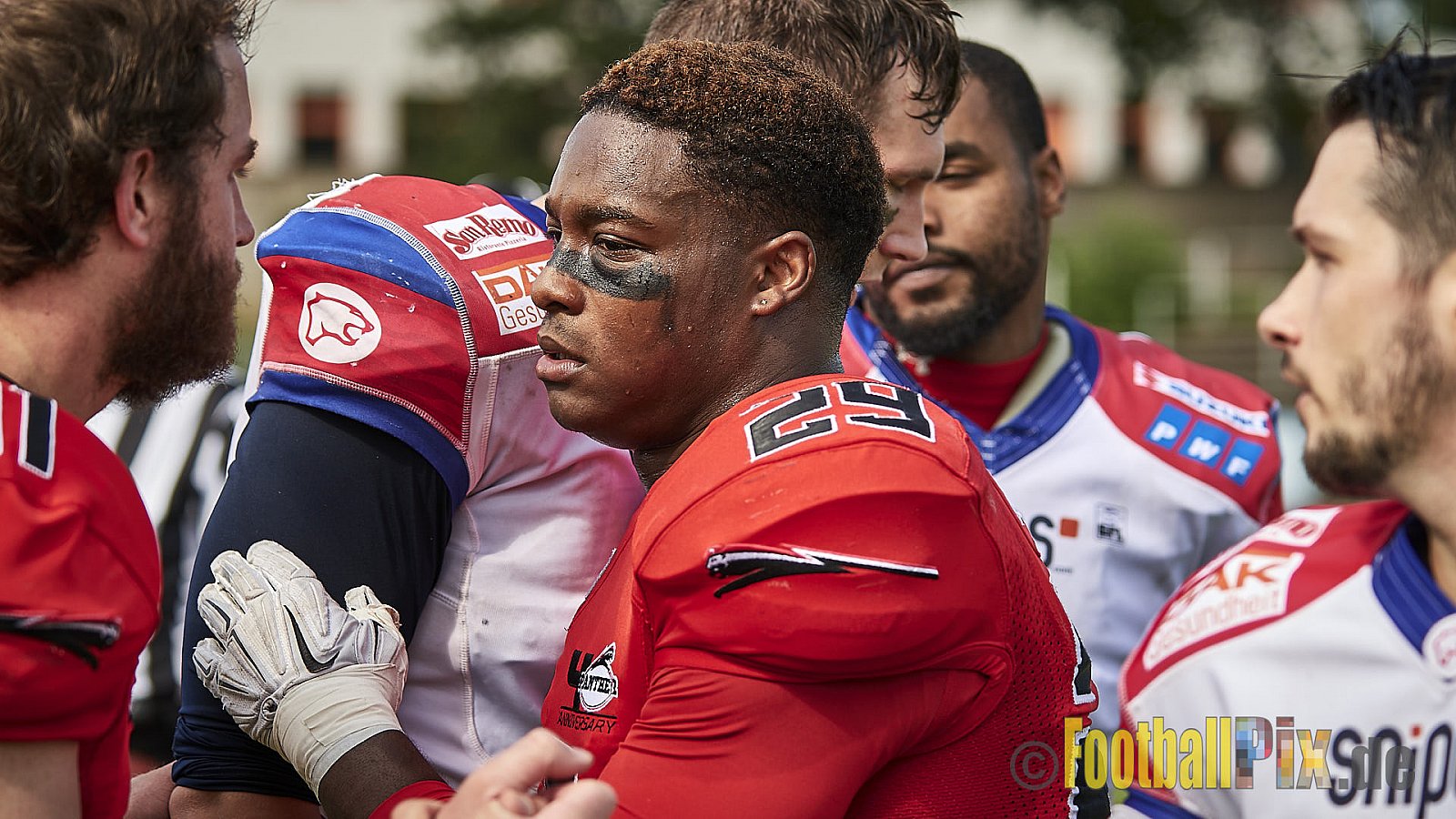 Düsseldorf Panther vs. Lübeck Cougars - DPantherVsLCougars