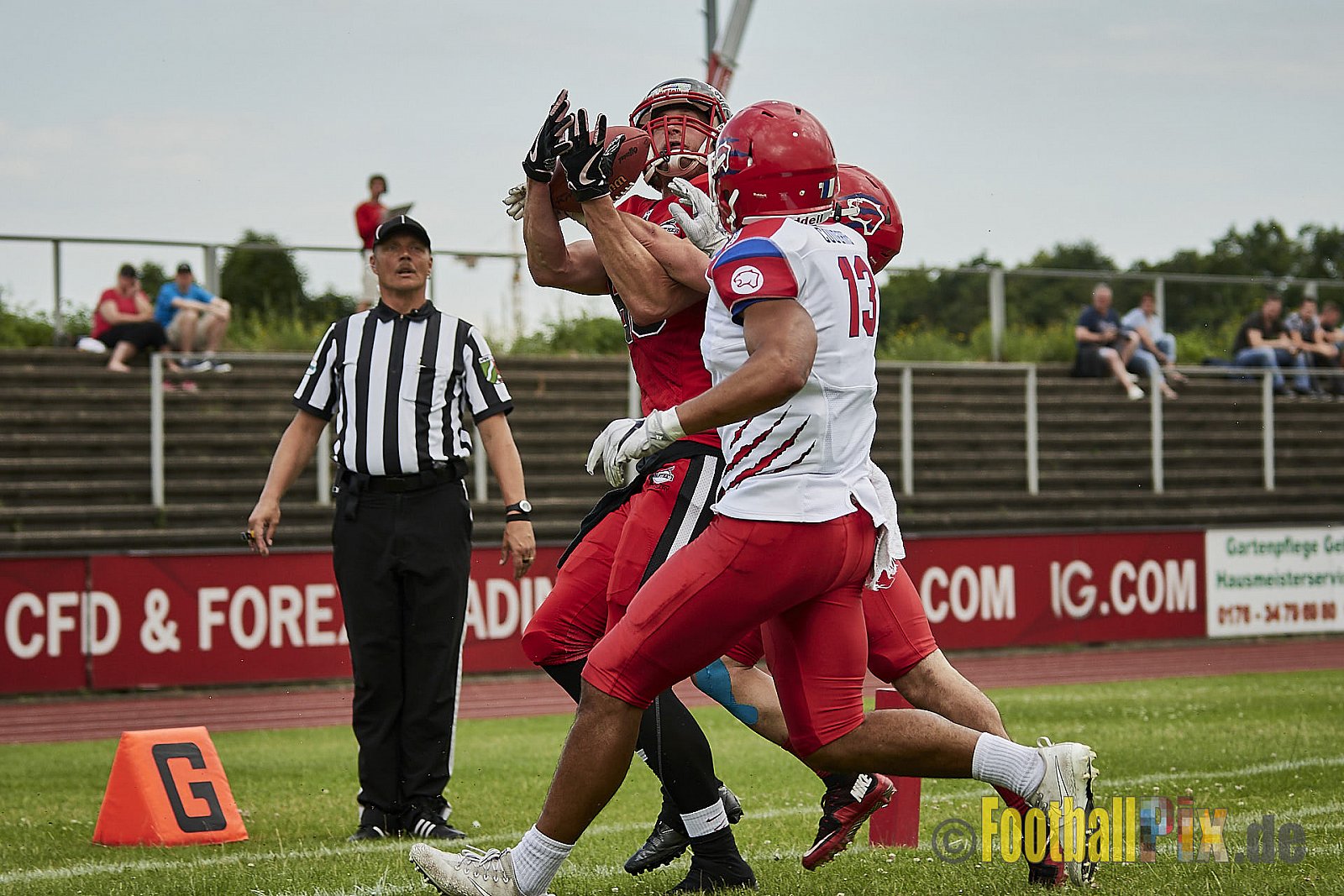 Düsseldorf Panther vs. Lübeck Cougars - DPantherVsLCougars