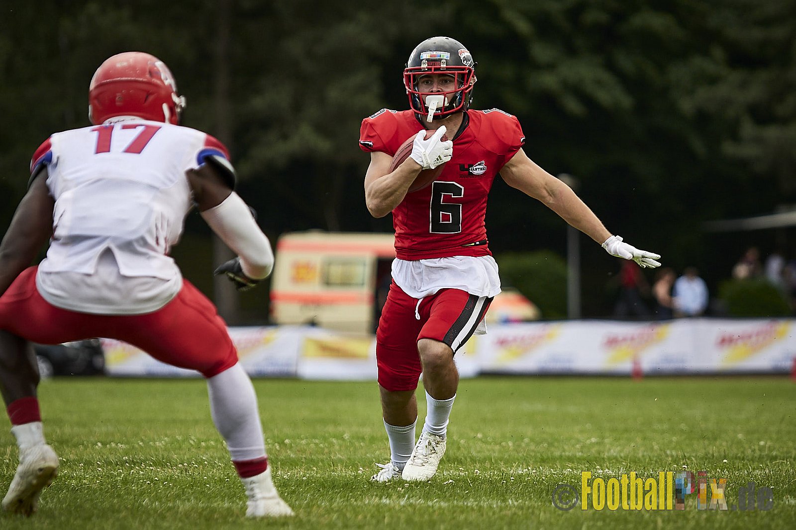 Düsseldorf Panther vs. Lübeck Cougars - DPantherVsLCougars