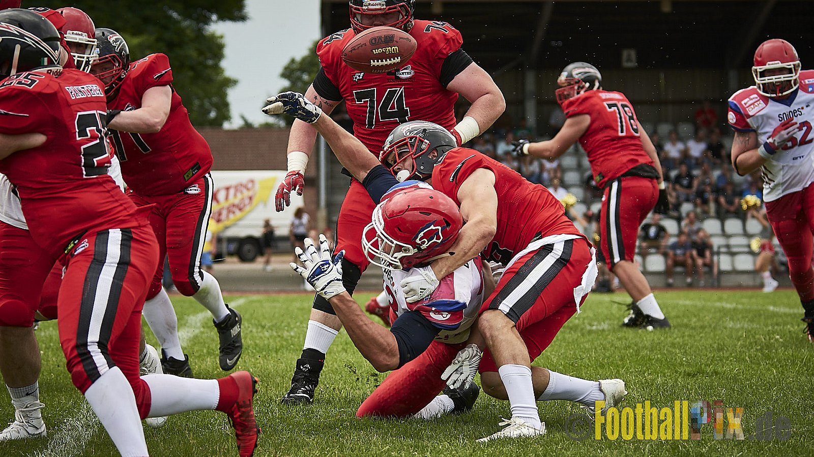 Düsseldorf Panther vs. Lübeck Cougars - DPantherVsLCougars