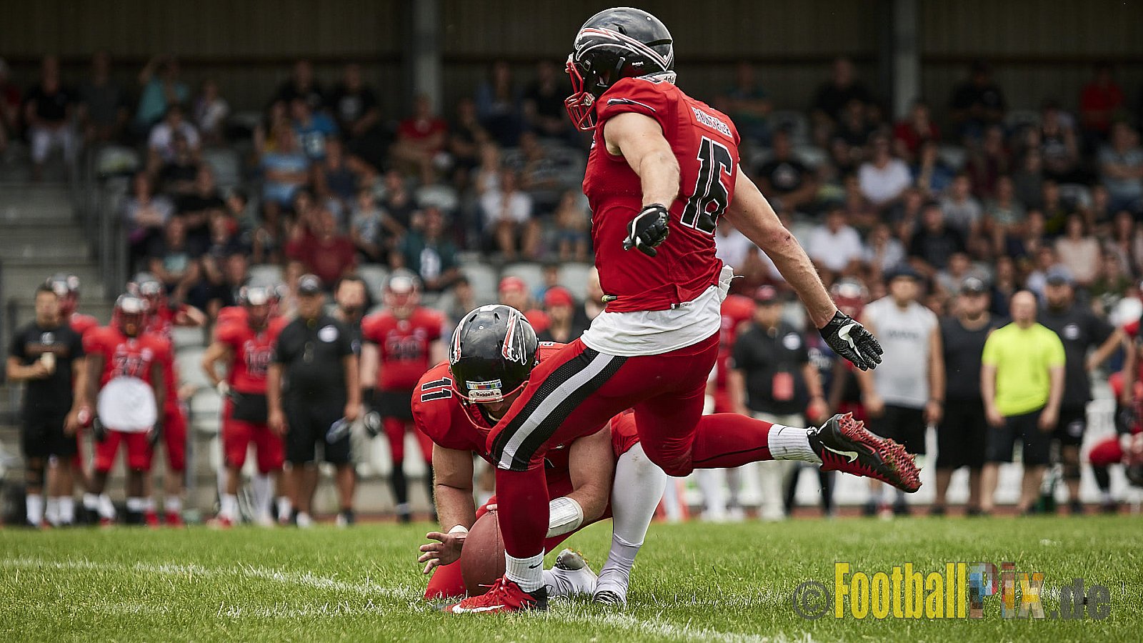 Düsseldorf Panther vs. Lübeck Cougars - DPantherVsLCougars