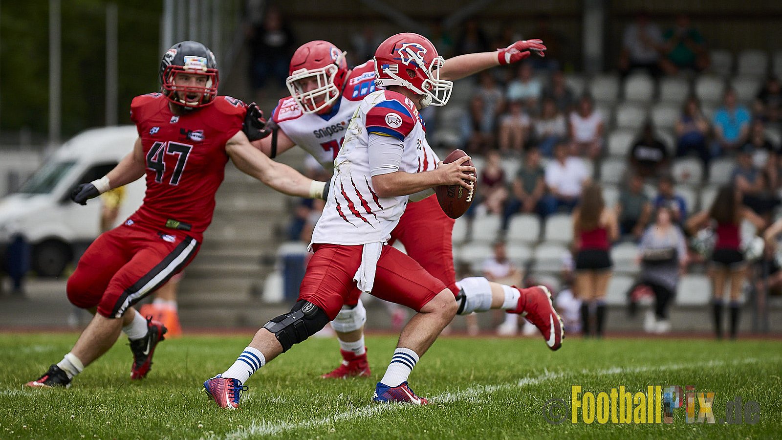 Düsseldorf Panther vs. Lübeck Cougars - DPantherVsLCougars