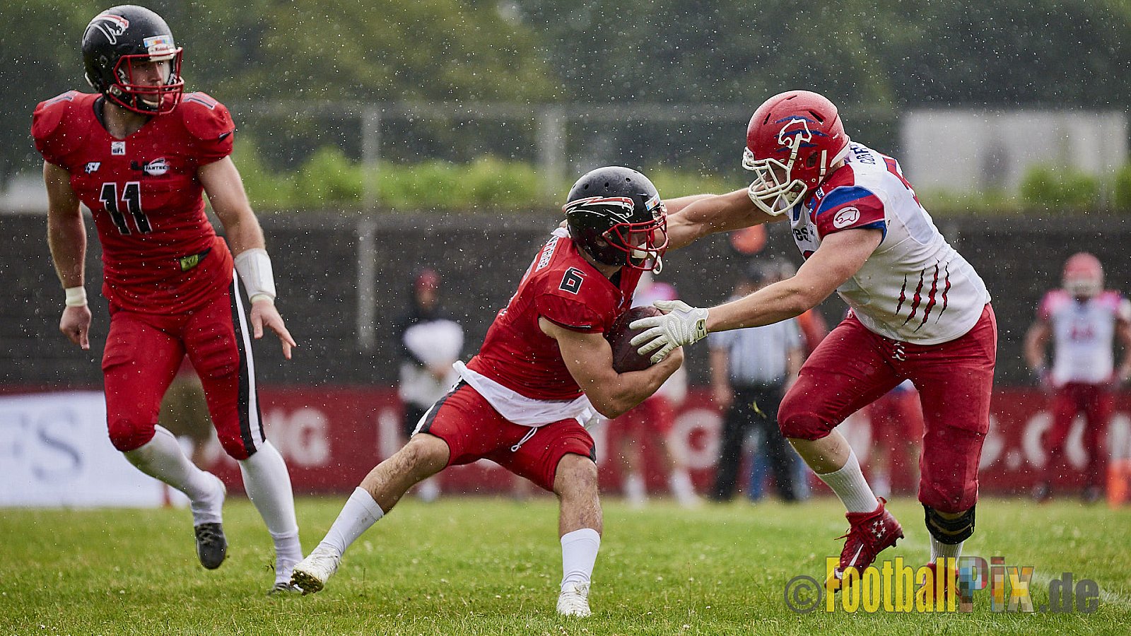 Düsseldorf Panther vs. Lübeck Cougars - DPantherVsLCougars