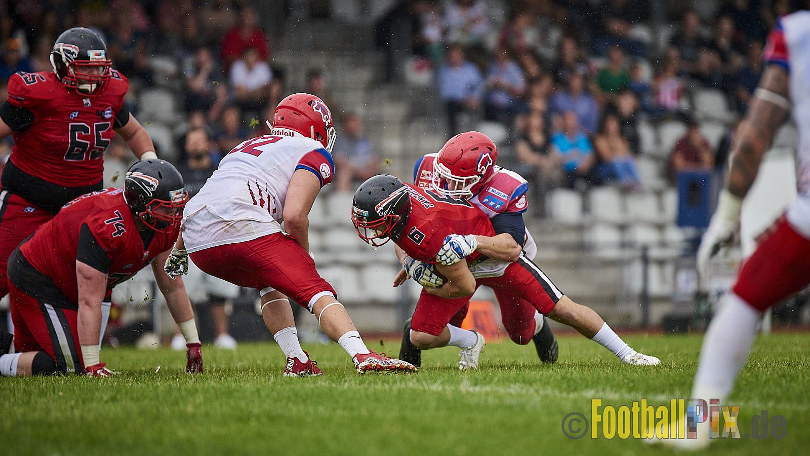 Düsseldorf Panther vs. Lübeck Cougars - DPantherVsLCougars
