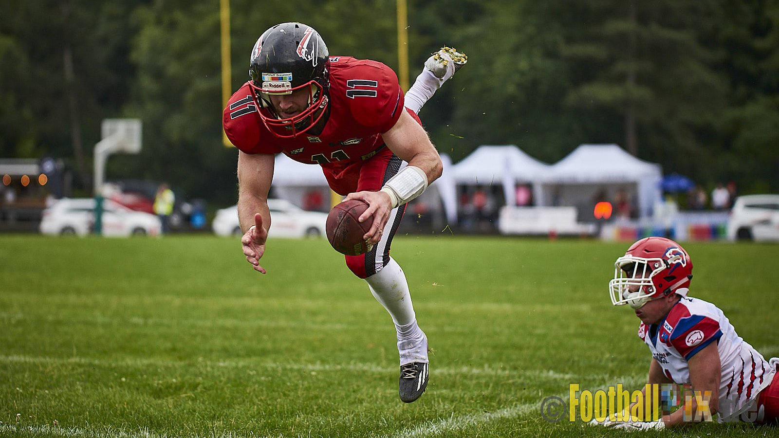 Düsseldorf Panther vs. Lübeck Cougars - DPantherVsLCougars