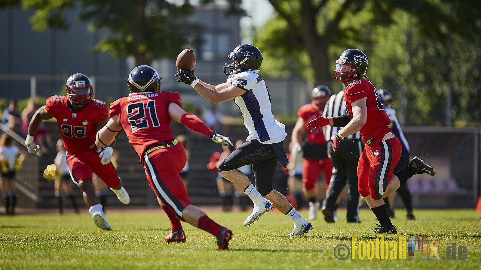 Düsseldorf Panther vs. Langenfeld Longhorns - DPantherVsLangenfeldLonghorns