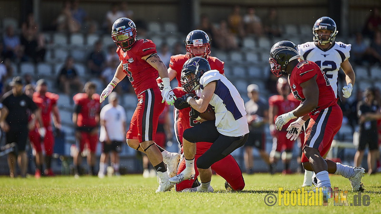 Düsseldorf Panther vs. Langenfeld Longhorns - DPantherVsLangenfeldLonghorns