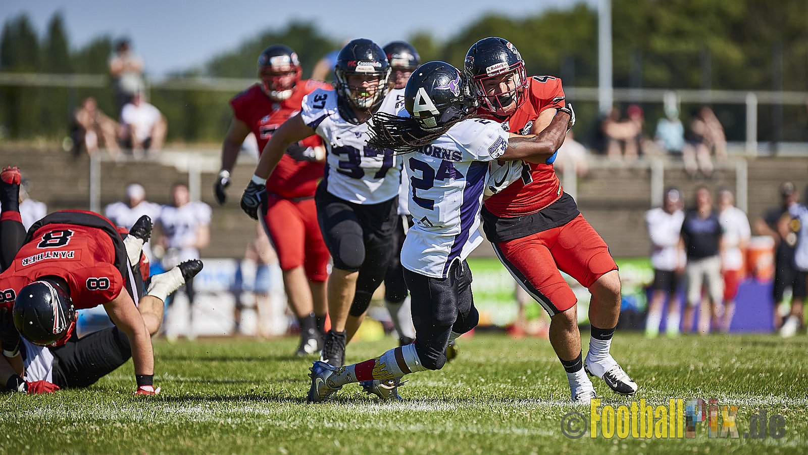 Düsseldorf Panther vs. Langenfeld Longhorns - DPantherVsLangenfeldLonghorns