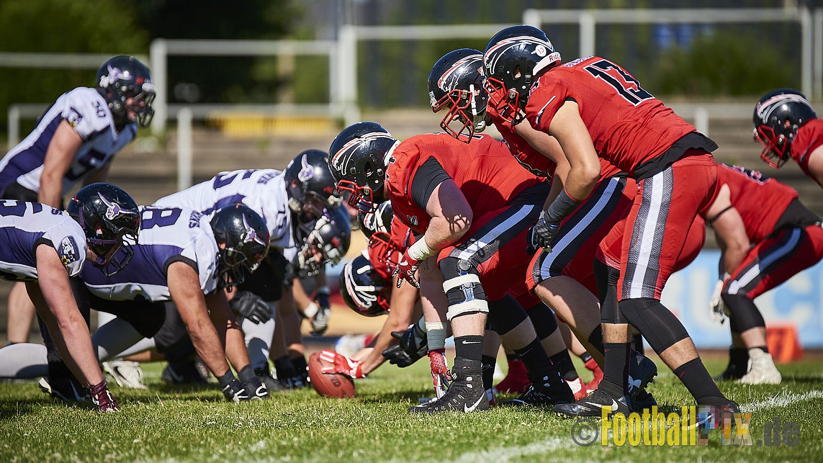 Düsseldorf Panther vs. Langenfeld Longhorns - DPantherVsLangenfeldLonghorns