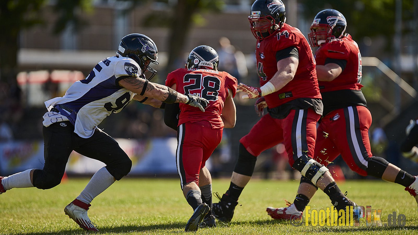 Düsseldorf Panther vs. Langenfeld Longhorns - DPantherVsLangenfeldLonghorns