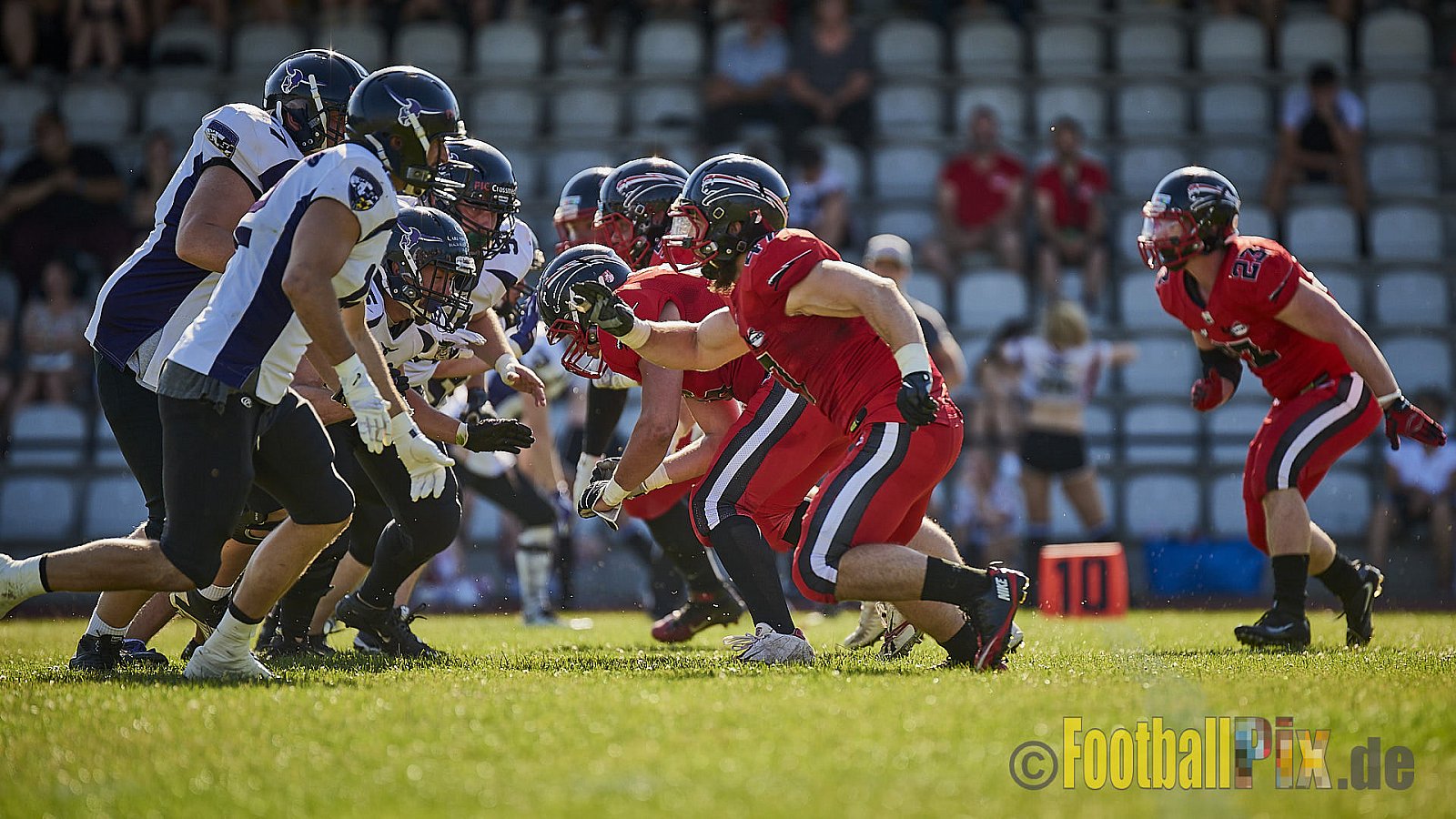 Düsseldorf Panther vs. Langenfeld Longhorns - DPantherVsLangenfeldLonghorns