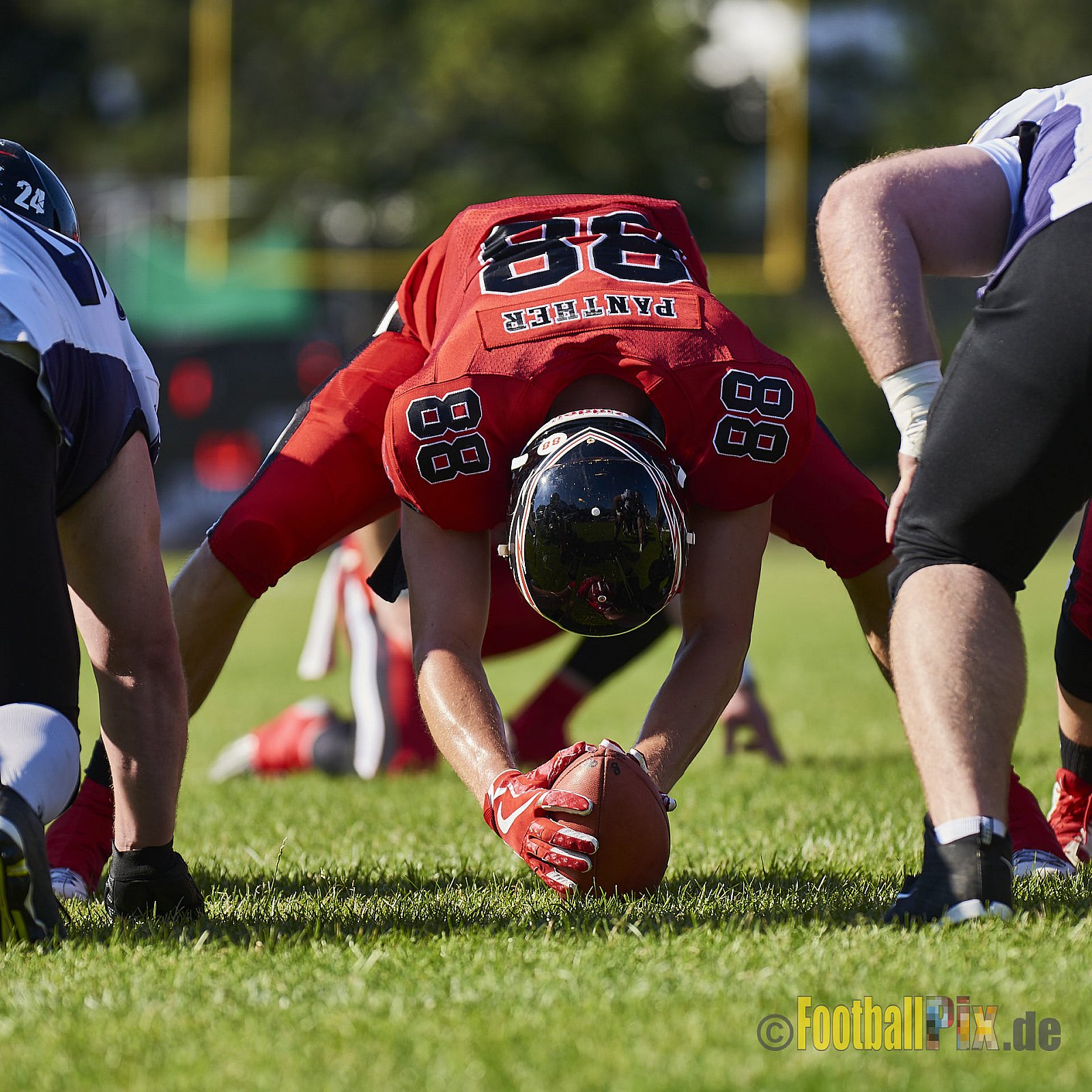 Düsseldorf Panther vs. Langenfeld Longhorns - DPantherVsLangenfeldLonghorns
