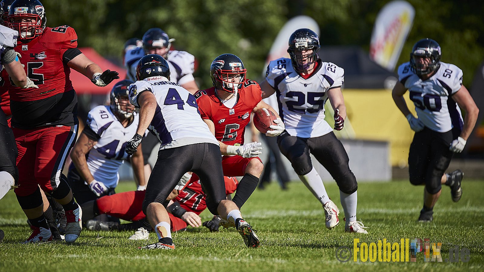 Düsseldorf Panther vs. Langenfeld Longhorns - DPantherVsLangenfeldLonghorns