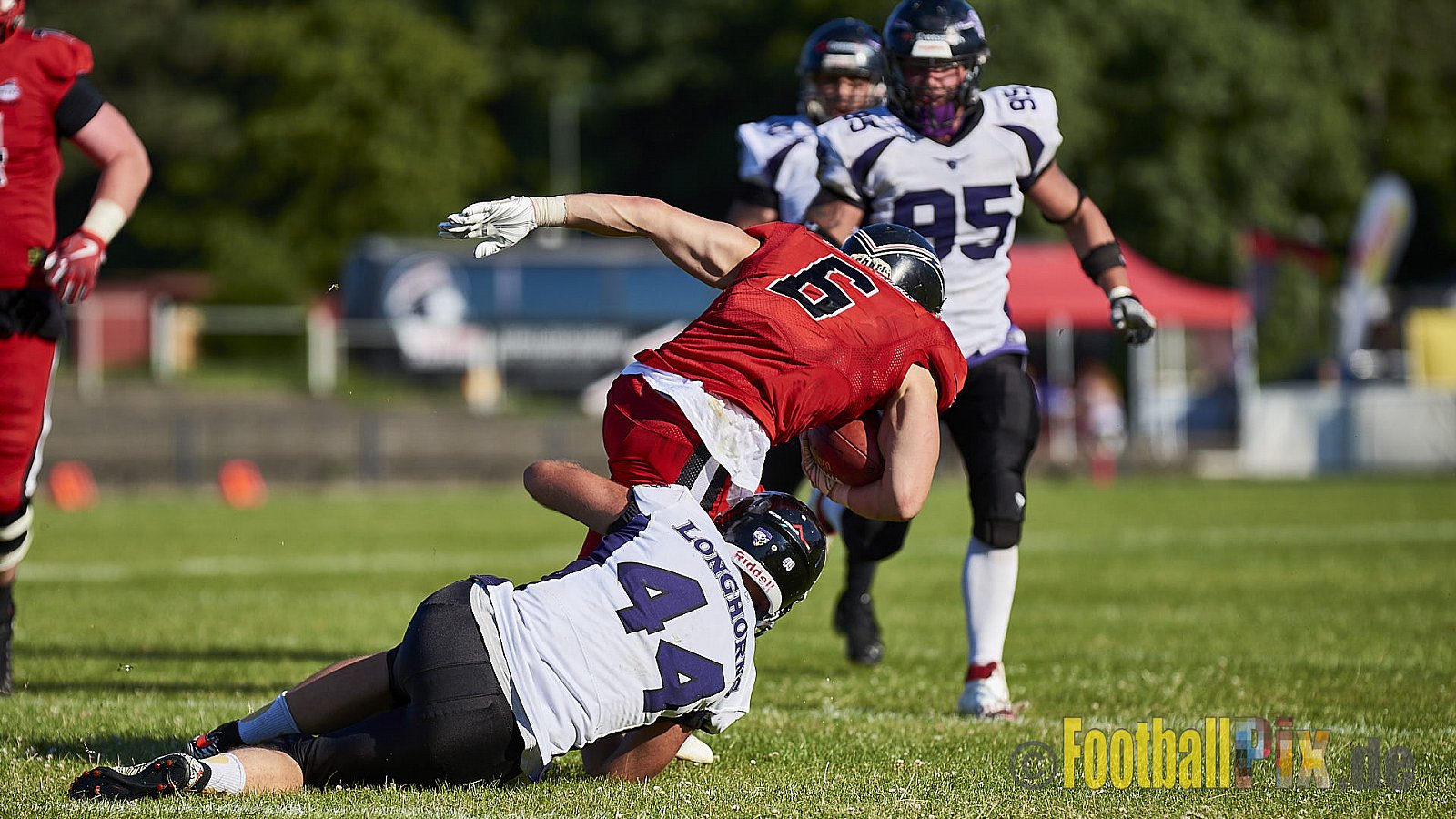 Düsseldorf Panther vs. Langenfeld Longhorns - DPantherVsLangenfeldLonghorns