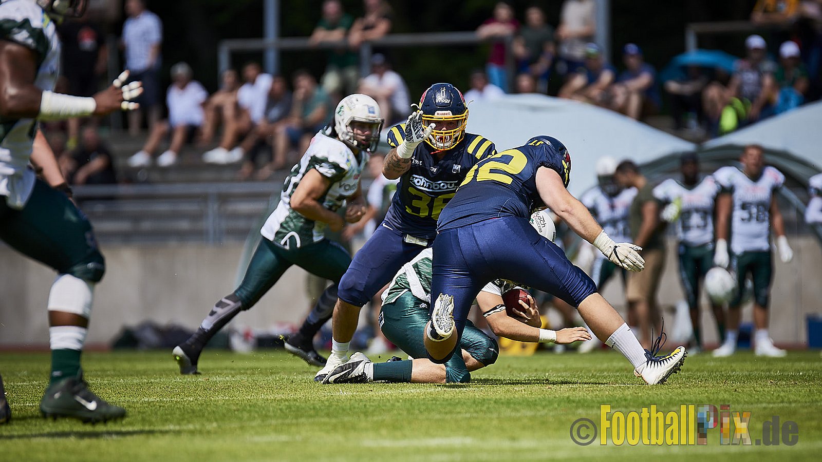 Essen Assindia Cardinals vs. Bielefeld Bulldogs - EssenAssindiaCardinalsVsBielefeldBulldogs
