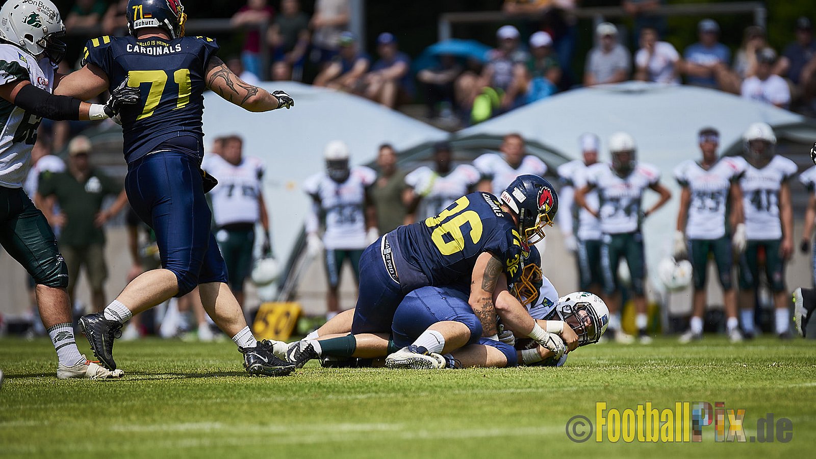 Essen Assindia Cardinals vs. Bielefeld Bulldogs - EssenAssindiaCardinalsVsBielefeldBulldogs