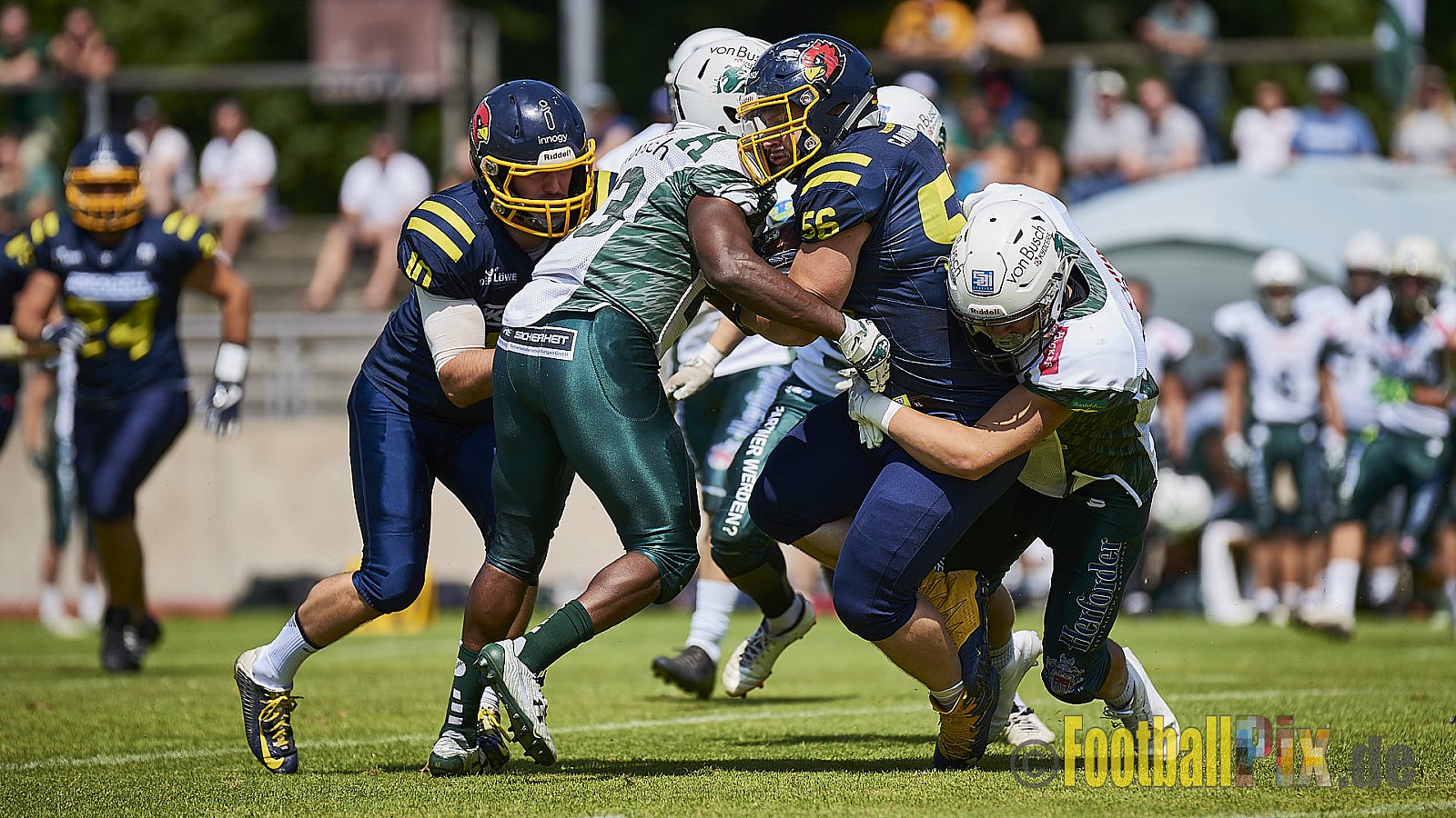 Essen Assindia Cardinals vs. Bielefeld Bulldogs - EssenAssindiaCardinalsVsBielefeldBulldogs