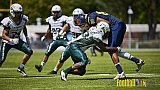 Essen Assindia Cardinals vs. Bielefeld Bulldogs - EssenAssindiaCardinalsVsBielefeldBulldogs